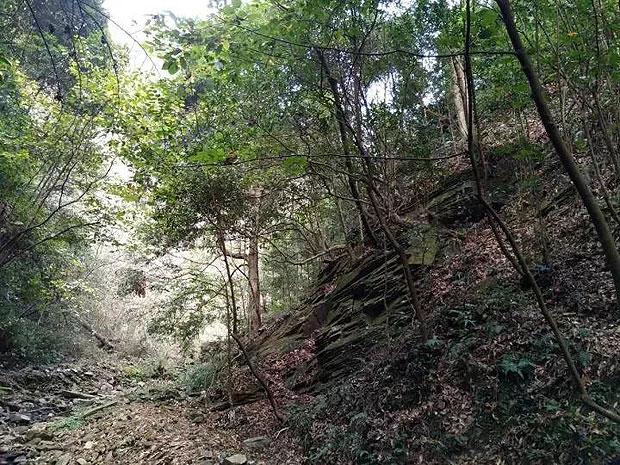 开展“读贺词、迎新春、建新功” 主题宣讲活动
